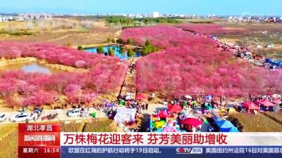 对话一把手 | 看邹岗镇如何打造乡村振兴新样板？