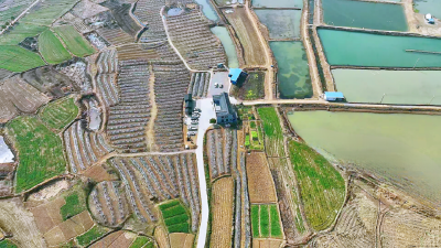 孝昌季店：金融活水润“三农”  生态甲鱼助振兴