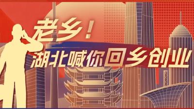 湖北大规模推进楚商回乡和返乡创业