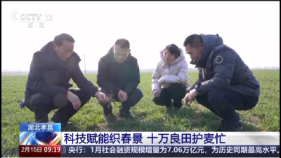 央视关注孝昌：科技赋能织春景 十万良田护麦忙