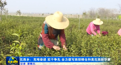 花西乡：克难奋进 实干争先 全力谱写西部粮仓和美花西新华章