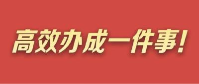 结婚落户、新车上牌、换新补贴申请……今年这些事儿高效办！