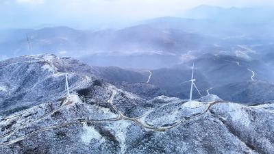 惊蛰破晓冰羽舞  孝昌小悟惊现雾凇奇观——大别山深处邂逅最后的冰雪奇缘
