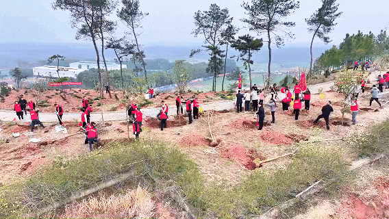 孝昌：万众同心植新绿 万树成林美乡村
