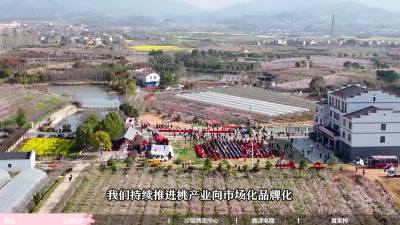 对话一把手 | 看丰山镇如何打造“桃源小镇 醉美丰山”！