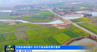 随手一拍赞爆朋友圈！快来孝昌白沙赏万亩油菜花海