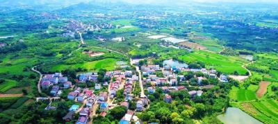 绿了山头 富了手头 美了心头 