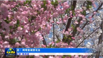 走！到观音湖赏花去
