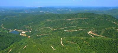 万众植绿 不负青山——孝昌县“万树村”建设工作纪实 