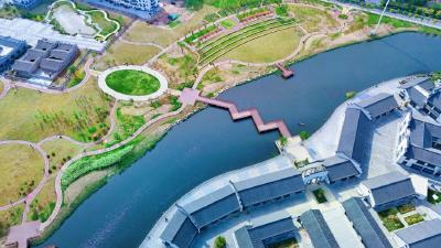 孝昌县七里湖：精心呵护“城市绿肺” 水清草绿绘就生态新画卷