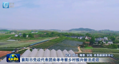 襄阳市党政代表团来孝考察乡村振兴做法成效 