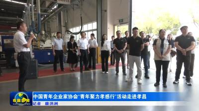中国青年企业家协会“青年聚力孝感行”活动走进孝昌