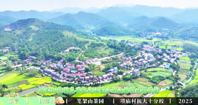 对话一把手丨红色小悟“续写”山水田园的诗情画意 