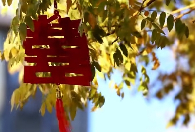 今起，领证不用户口本了！
