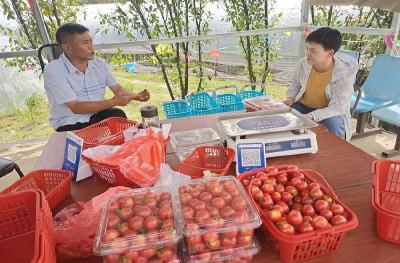 孝感孝昌：电商领航返乡路 激发返乡活力