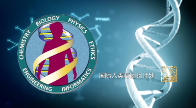 八旬院士“神预言”DeepSeek诞生！“真没料到会成预言家”