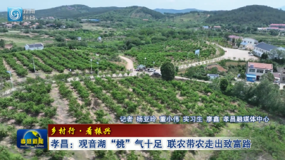 孝昌：观音湖“桃”气十足 联农带农走出致富路