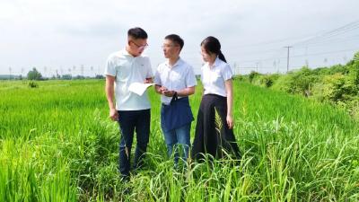 孝昌：精准预警让企业收到“气象定心丸”
