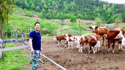 刘红方：肉牛产业“犇”富路