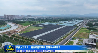 孝昌九丰农业：科技赋能添硕果 智慧农业绘新篇 
