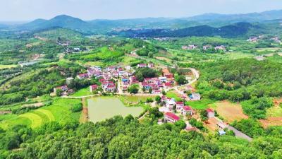 孝昌周巷：听民声解民忧 代表行动暖人心
