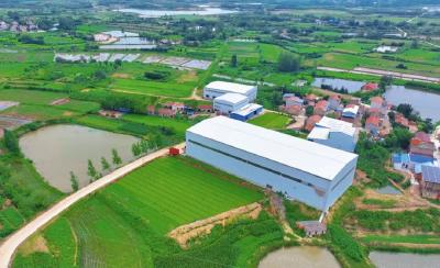 弘扬三大精神 奋力建成支点 | 孝昌太子米：田间到展厅 “香”飘振兴路 