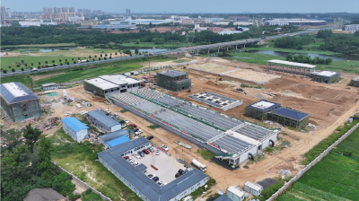孝昌城区二水厂建设“双提速”：工期与质量并进 