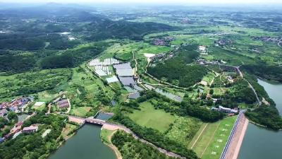 省级名单公布！孝昌这些“好支部”“好支书”上榜