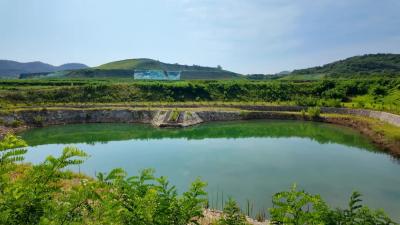 荒山着绿装 沃土涌金浪——孝昌小河“三重蝶变”绘就生态振兴新图景