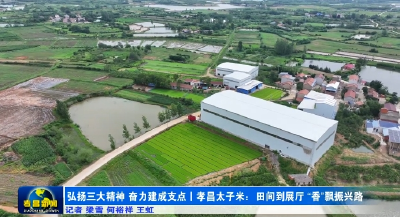 弘扬三大精神 奋力建成支点 | 孝昌太子米：田间到展厅  “香”飘振兴路  