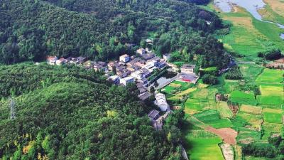 孝感孝昌：红色文旅激活乡村振兴新动能 