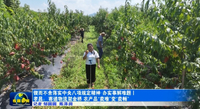 锲而不舍落实中央八项规定精神·办实事解难题丨孝昌：寄递物流架金桥 农产品“卖难”变“卖畅” 