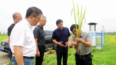 孝昌：校地携手 为县域发展聚智赋能  