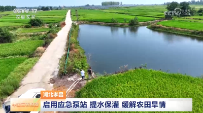 央视关注孝昌：启用应急泵站 提水保灌 缓解农田旱情 