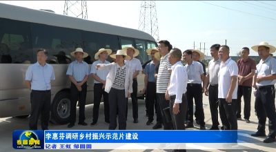 李惠芬调研乡村振兴示范片建设  