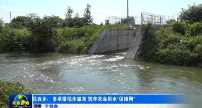 花西乡：多举措抽水灌溉筑牢农业用水“保障网”