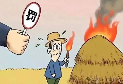 【秸秆禁烧】不着一把火，不冒一股烟