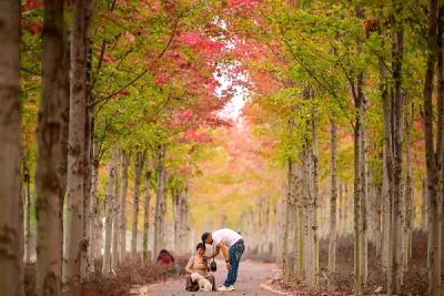 一到秋天就“emo”，怎么破？ 