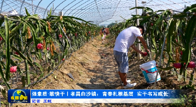 孝昌：年轻干部扎根基层 用实干书写青春篇章