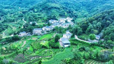 孝感孝昌：红色热土上的绿色蝶变