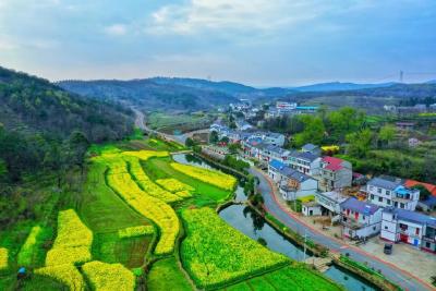 昔日“烦心路”  今日“幸福线”——孝昌以“四好农村路”建设推动城乡融合