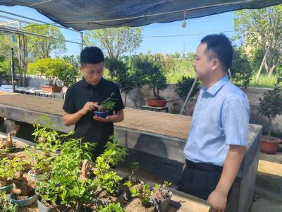 湖北孝昌农商银行周巷支行信贷“活水”润青苗  农商担当助振兴