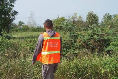 孝昌小河：守护家园不松懈，筑牢森林“防火墙”