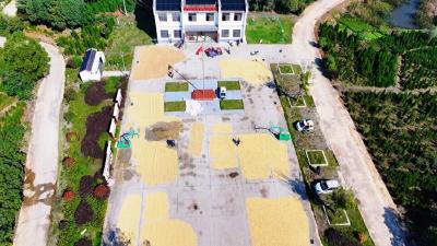 孝昌周巷：文化广场“变身”晒谷场 党群同心解民忧