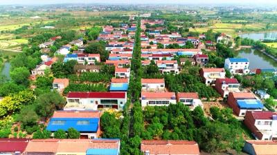 孝感孝昌：“串珠成链”激活发展动能 基层治理绘就振兴图景