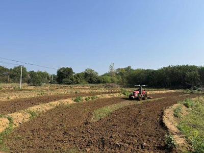 孝昌周巷：扎实推进耕地保护  筑牢粮食安全“耕”基