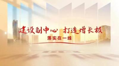 建设副中心 打造增长极·落实在一线丨 孝昌王店：“串珠成链”激活发展动能 基层治理绘就振兴图景