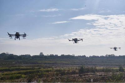 孝昌花西：无人机“飞播”油菜 科技绘就现代农业好风光