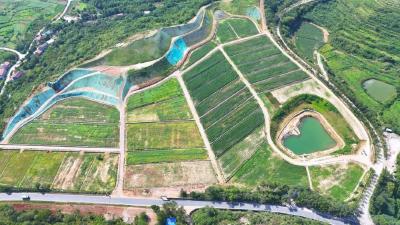 “群众主体+微改实治”：孝昌小河镇国土整治成全省优秀标杆