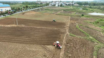 孝昌季店：秋冬油菜种植忙  播下来年好“丰”景